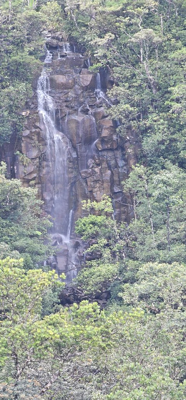 Isla Mauricio: por y para el placer - Blogs de Mauricio - GRAND BASSIN -PARQUE NACIONAL BLACK RIVER GORGES -TARDE DE SPA EN HERITAGE AWALI (9)