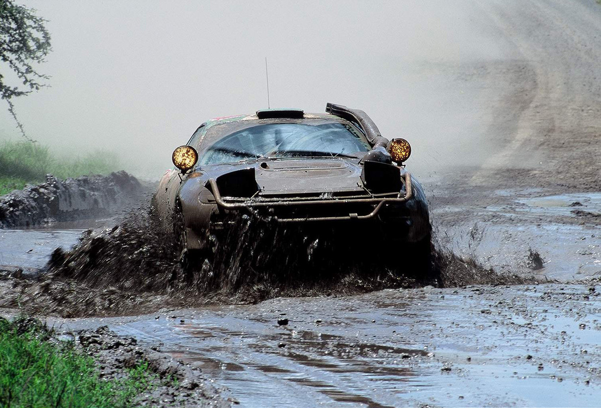 81051-1993safarirallymud
