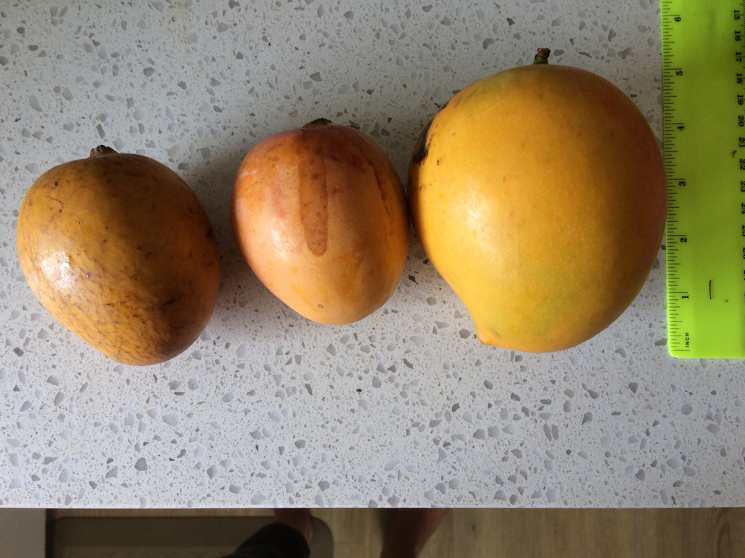 C8DE0FAD-C7A4-4CBC-88AA-DE2743FD2BAF