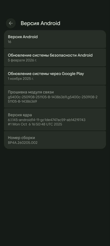 photo 3 2026 02 08 16 20 05