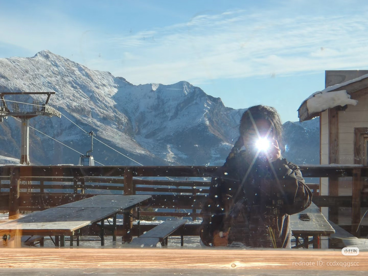 photo 4 2025 12 14 22 09 36