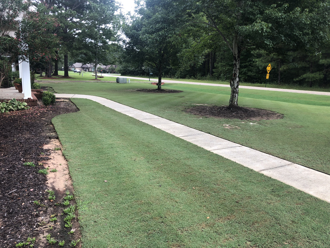 D84C7523-2766-4A2A-8EFA-9A564D5E8FC9