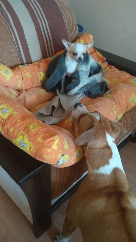 EE0F6CBE-554E-4BAF-8861-82269801B15F