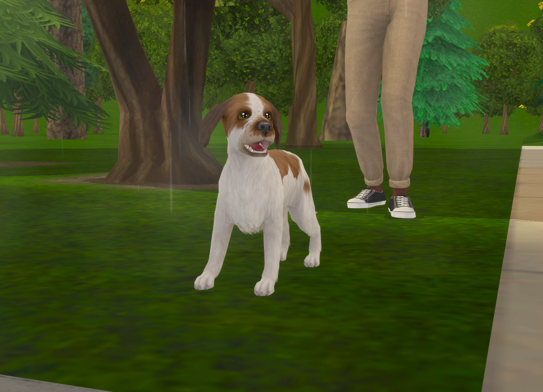 ksnip-20250906-160716