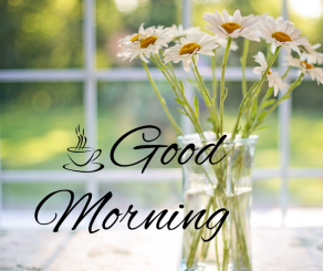 vartotojo kelta nuotrauka