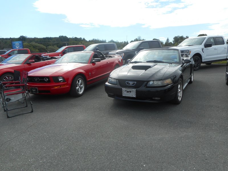 Rendez-Vous Mustang Cliche Auto Ford - 14 août 2022 Cliche2022-23