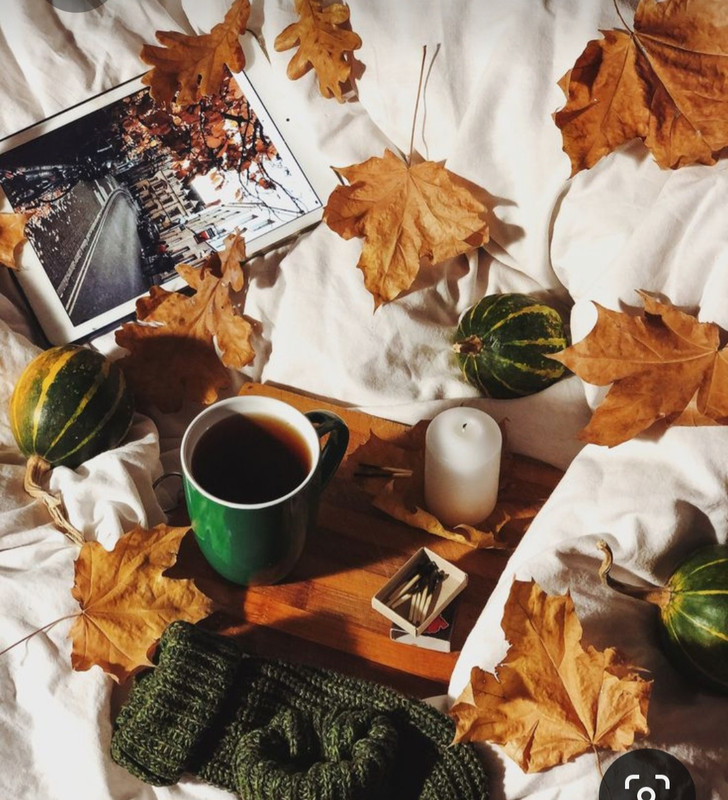 Screenshot_20230923_001050_Pinterest