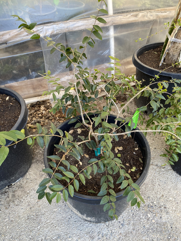 6D5DD079-5BDA-413F-A357-6470AA115365