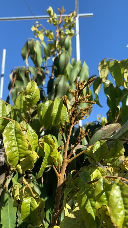 85947205-2E57-4158-8B49-1699D3BFFE03