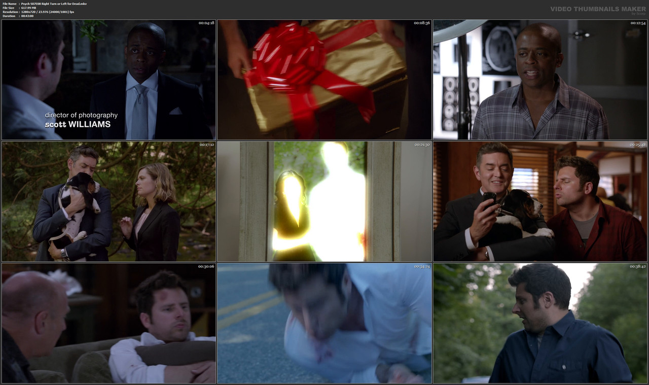 Psych S07E08 Right Turn or Left for Dead.mkv