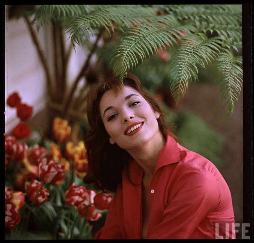 elsa_martinelli_a89
