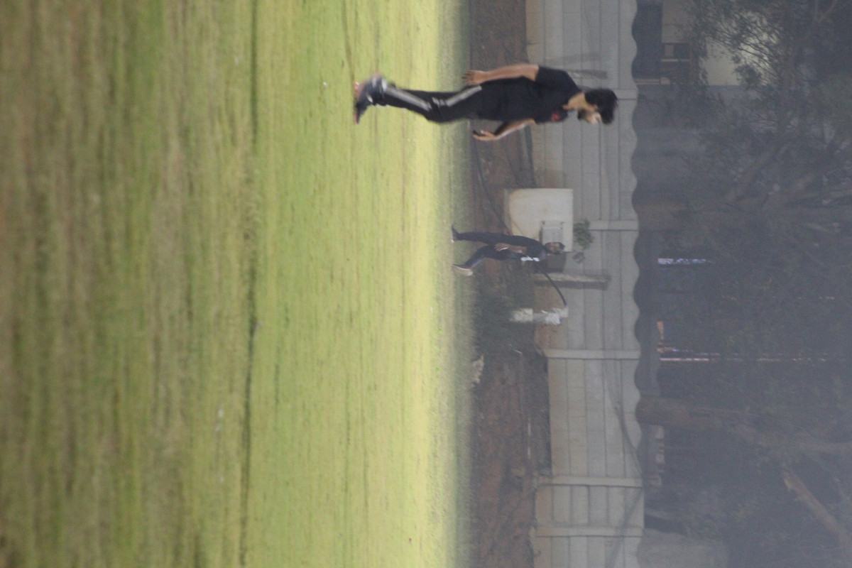 IMG 2217 — Postimages