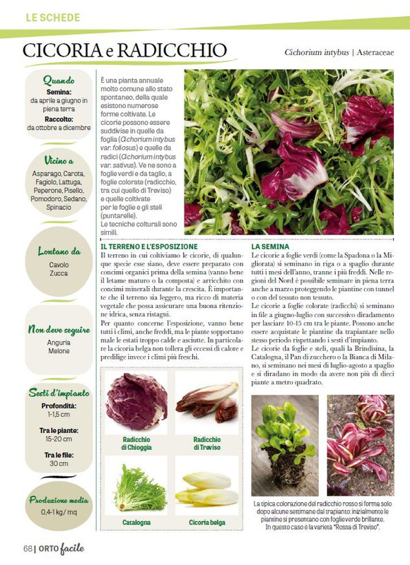 Orto Facile - Il Mio Orto Pratico - Feb-Mar 2025 (9)
