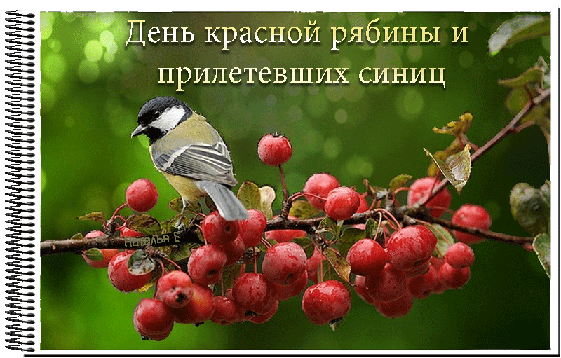 Image-copy