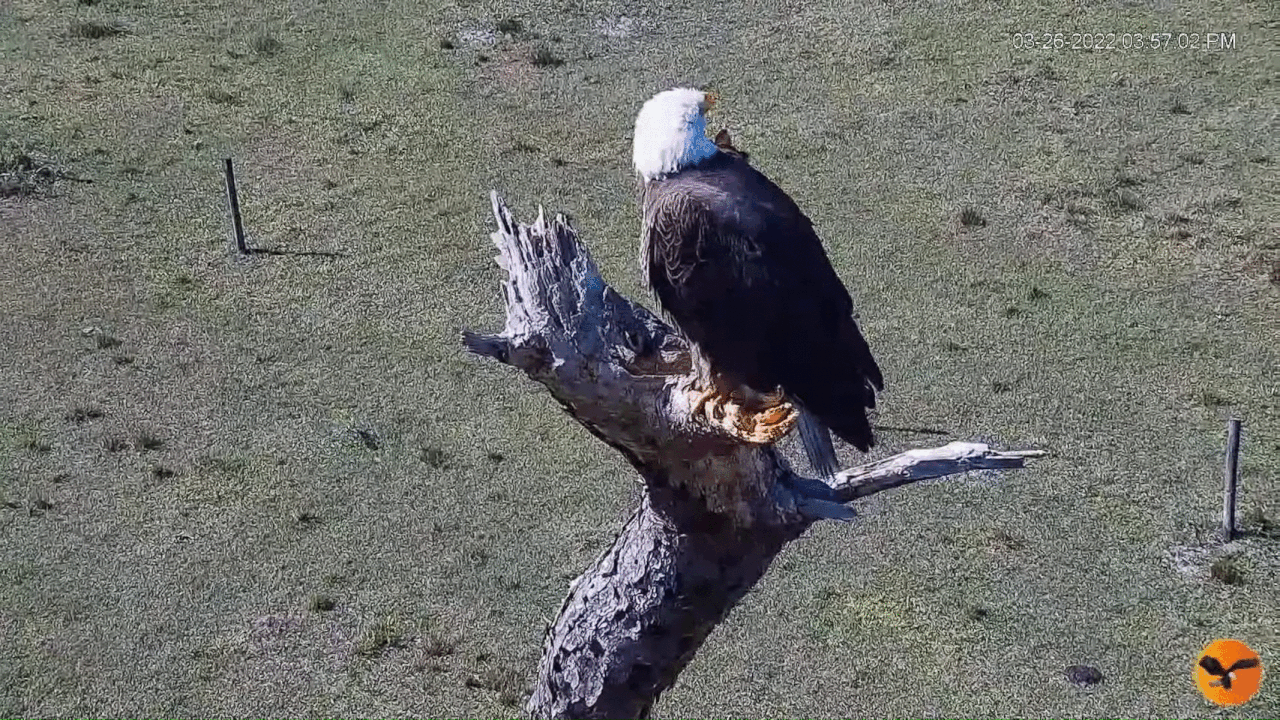 Webp.net-gifmaker (4)