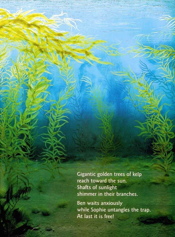 main-qimg-bb881f3dac85904ce1b2cba807ccab96-c