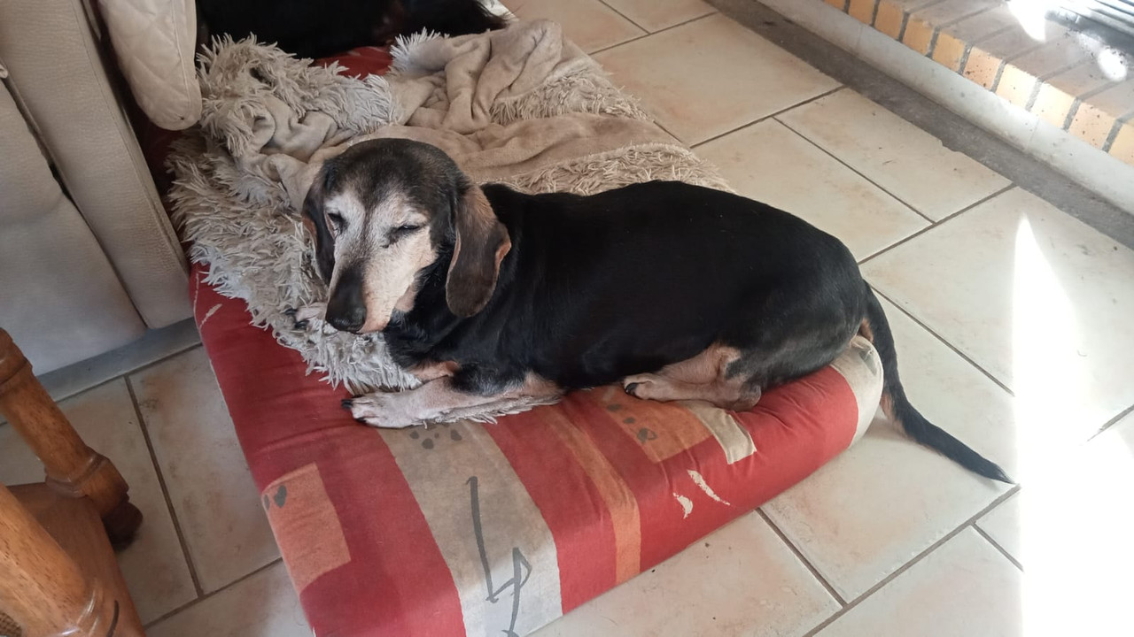 [Image: IMG-20240215-WA0004PILOU.jpg]