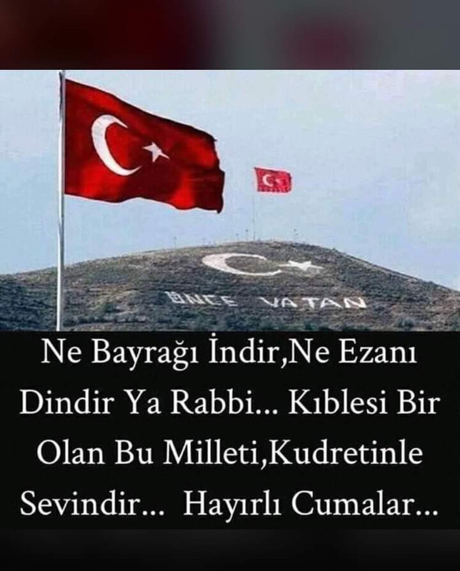 resim