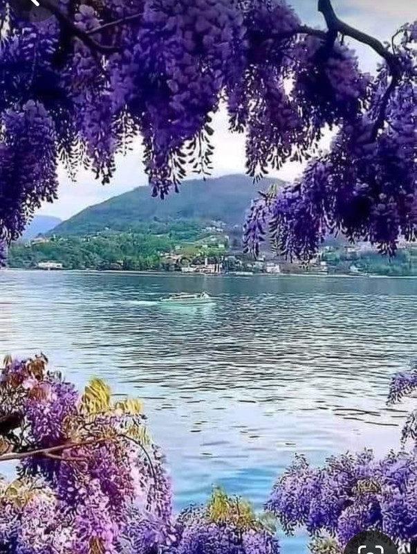 Screenshot_20240512_194525_Pinterest