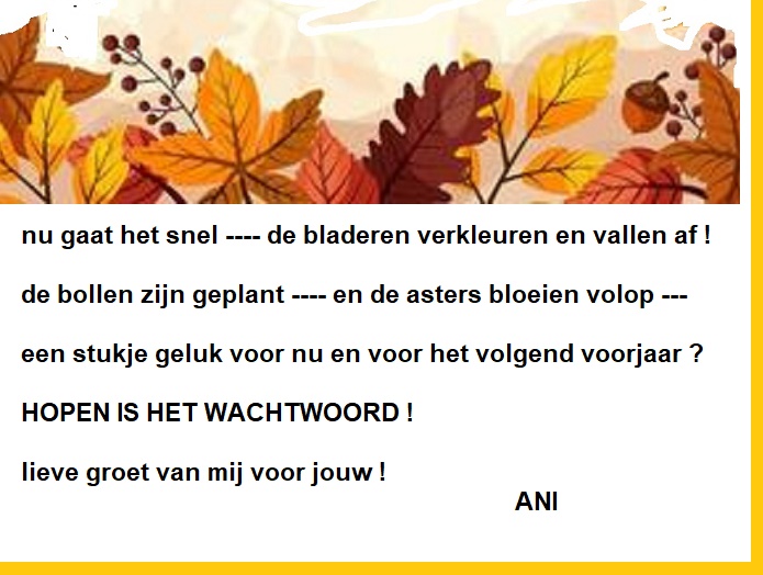10063181-herfst-herfst-bloemen-rood-gele-bladeren-en-eikel-achtergrond-vector