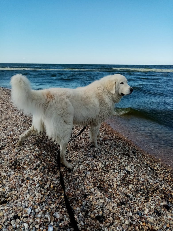 3D894730-B554-4C44-B3AE-F353056F7246