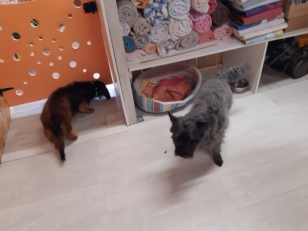 [Image: 20220630-101605.jpg]