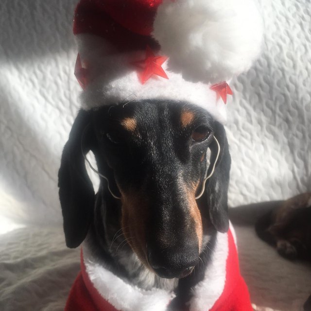 [Image: IMG-20201224-WA0005.jpg]