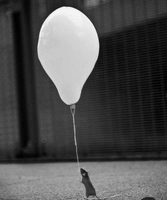 Screenshot_20230401_233851_Pinterest