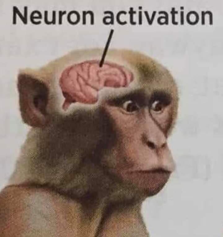 [Image: yqu89nbzlmd41.jpg]