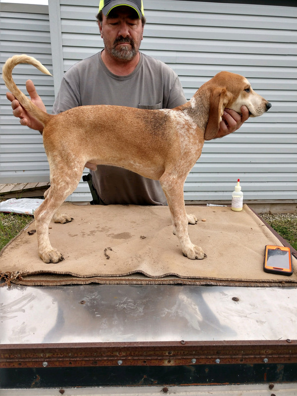 CF002117-F659-4BA8-8C63-57F892142C97