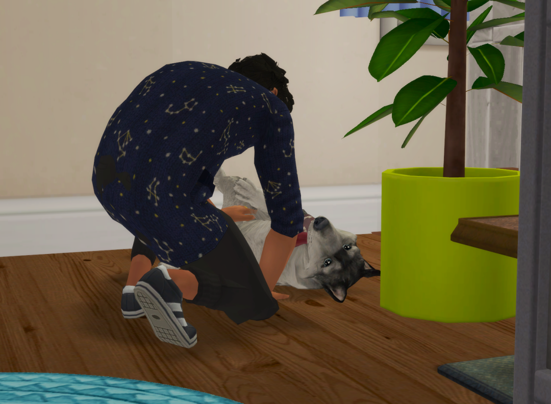 Sims2-EP9-RPC-2024-10-19-14-47-59-69