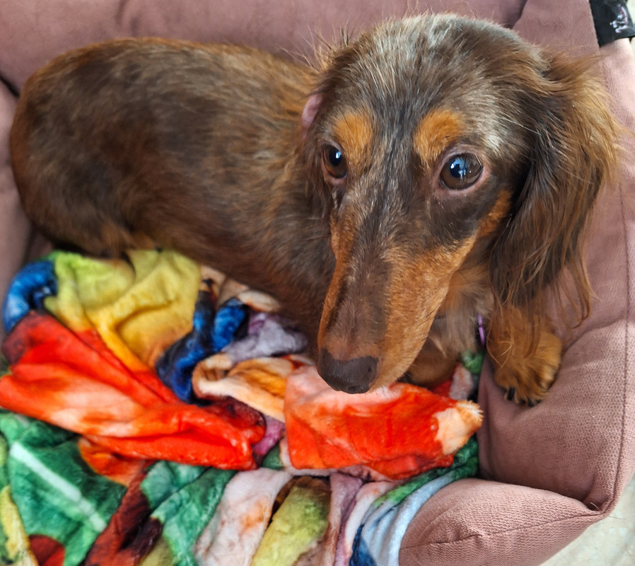 [Image: 20240118-133945.jpg]