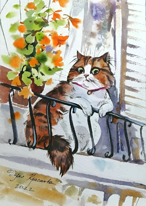 499713530-2477591645919884-6430216695762489421-n