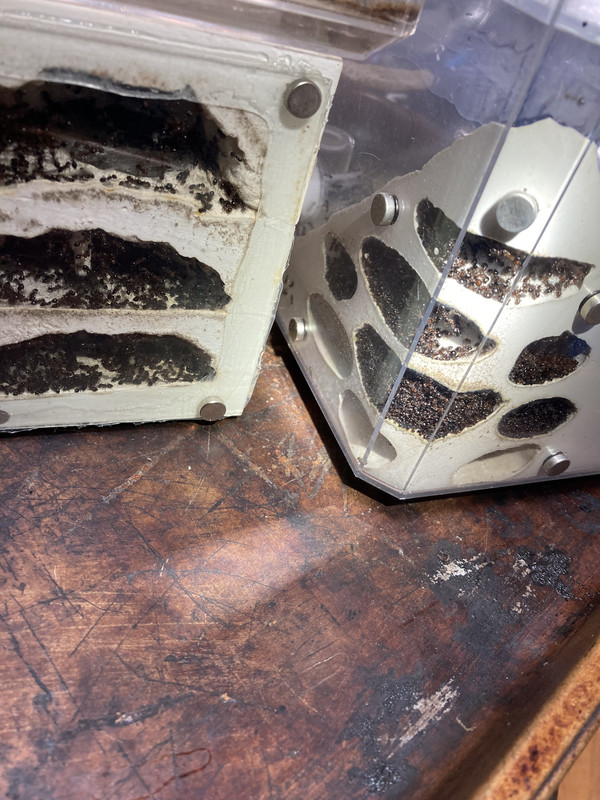 4178BEAF-9CA2-40FD-880A-8D4BCABD8933