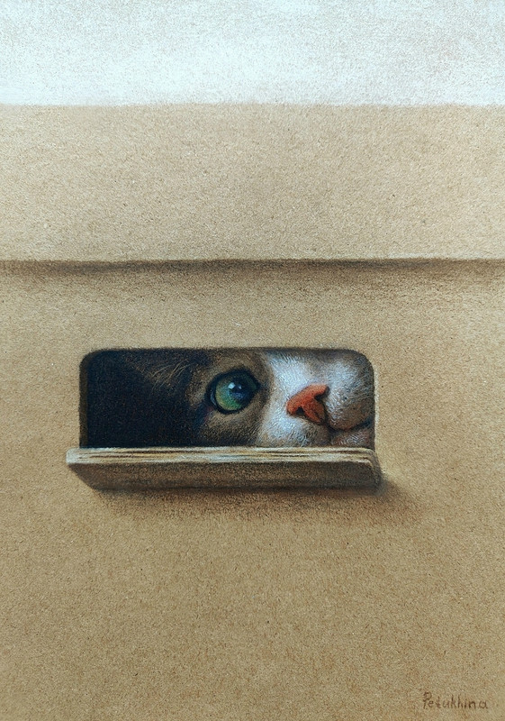 09