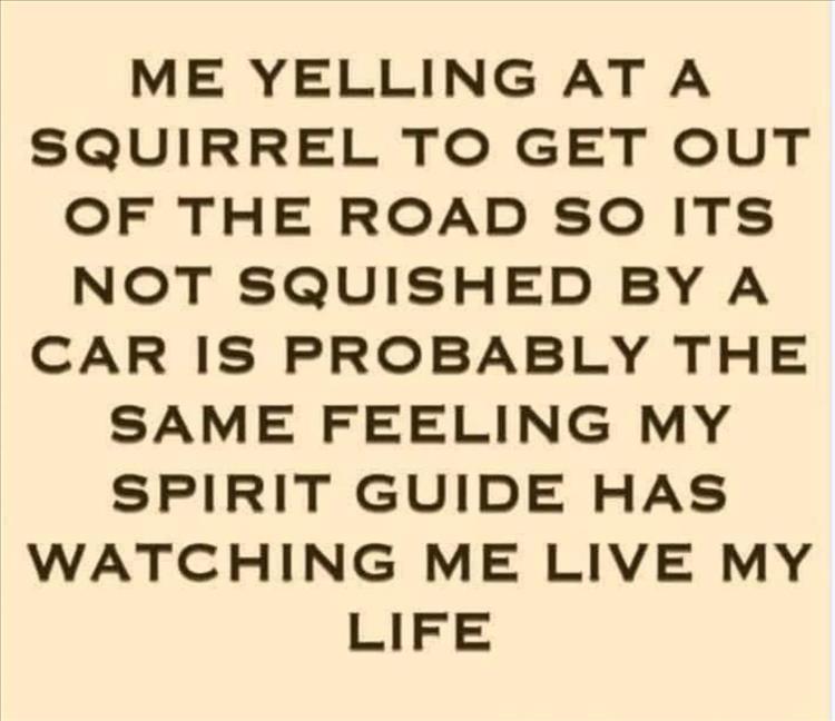 your-spirit-guide.jpg