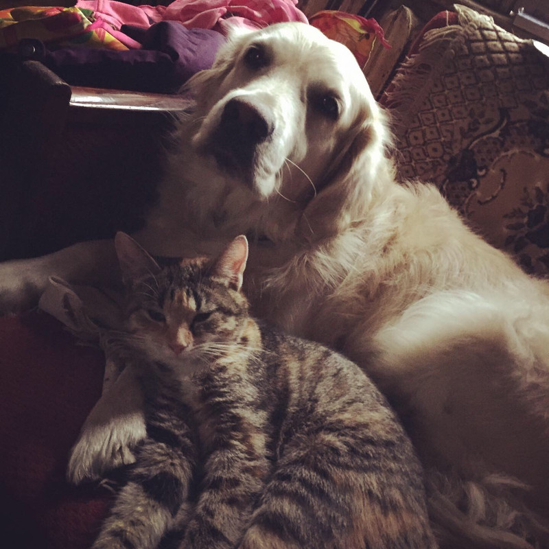 9A34B2DF-D76B-41AA-A0C3-BF8073565B05