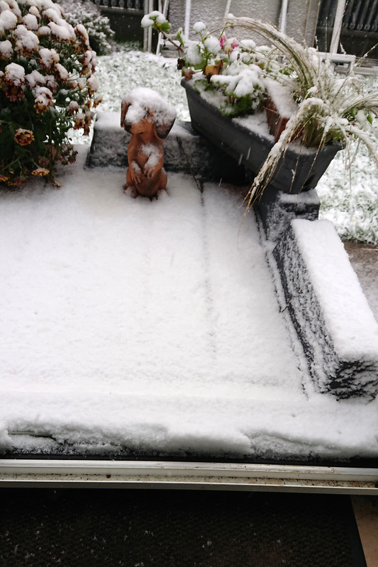 [Image: DSC-3321.jpg]