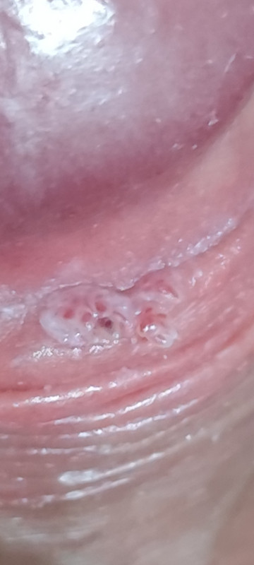 Screenshot 2026 01 07 12 33 14 498 com miui gallery