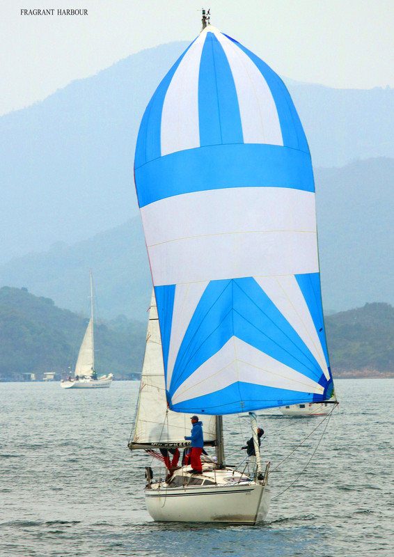 Bucaphalus after passing Lo Chi Pai (Monsoon Spring Series 2024, Race 4)