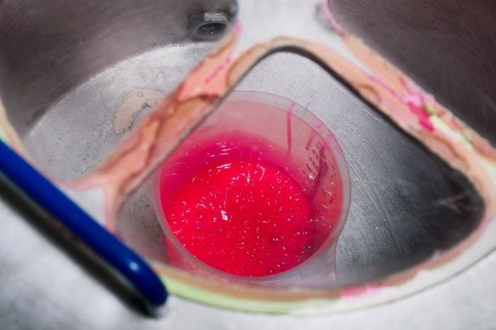 Как выглядят продукты и вещи до того, как обретают привычный нам вид