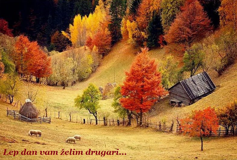 Slika