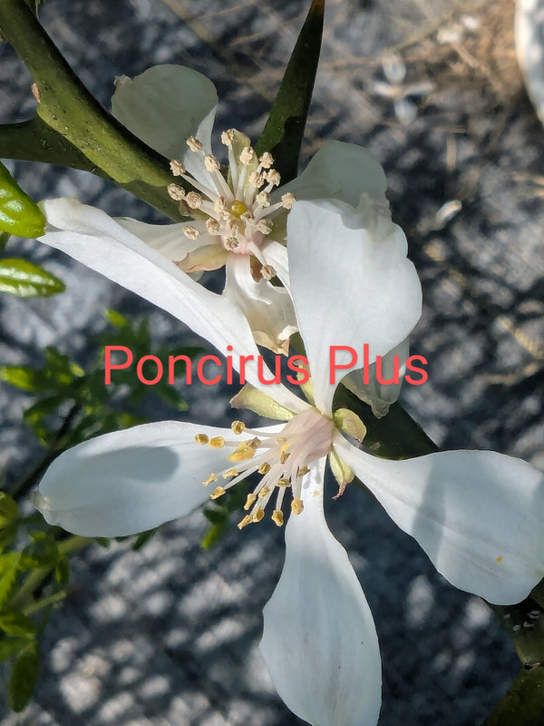 PXL_20250423_192614123~2