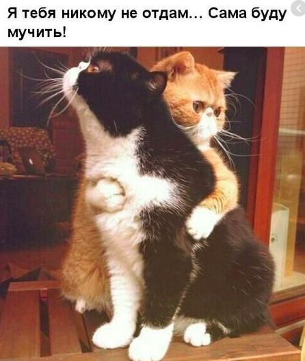 Screen Shot 2020-01-27 at 13.24.15