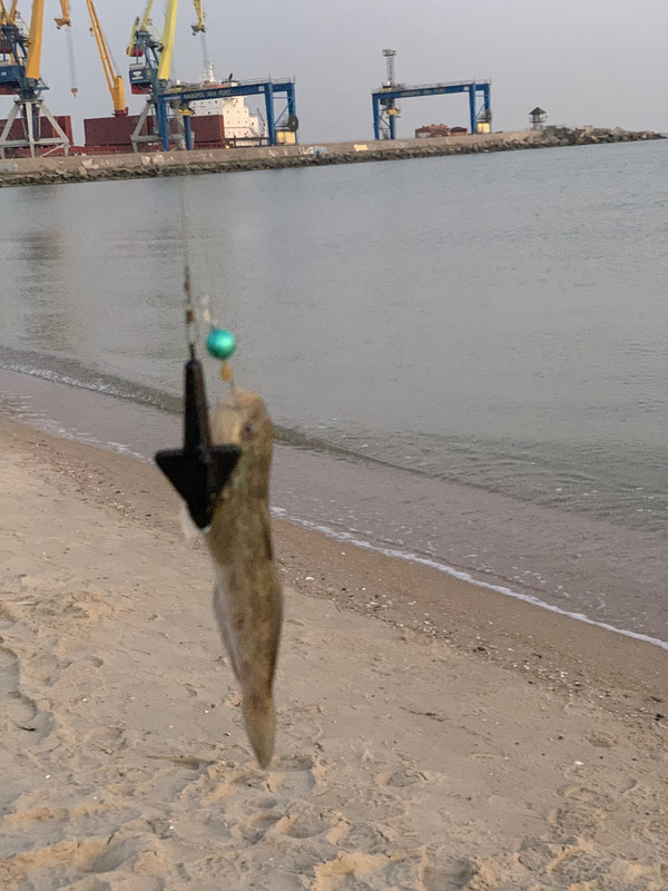 8C34F01B-7352-496B-B1BB-757D400CABD9