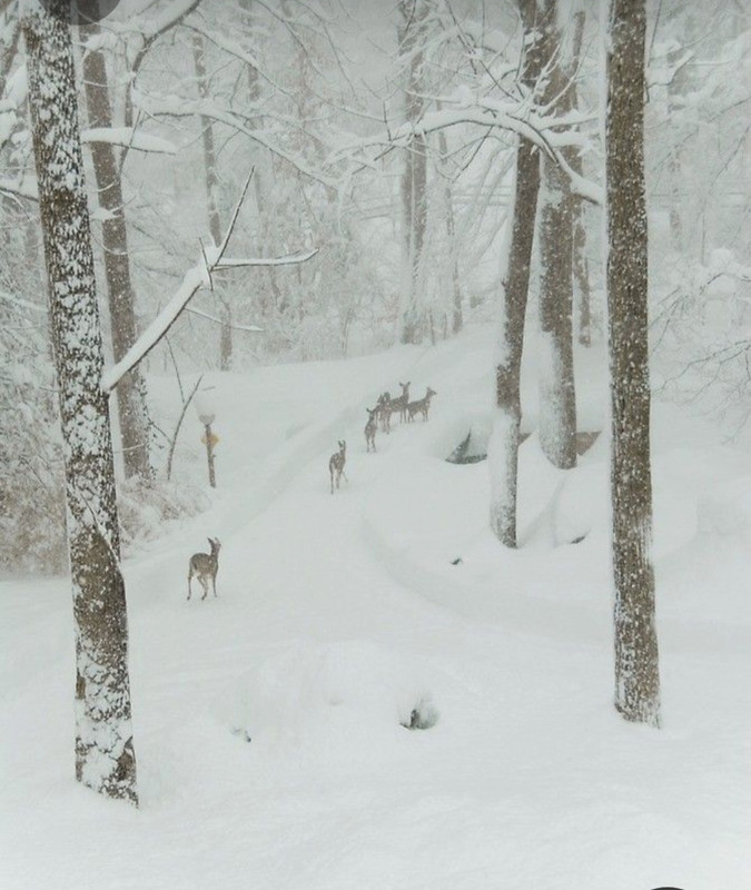 Screenshot_20230429_013644_Pinterest