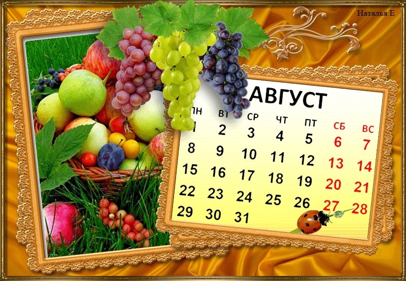 25 августа какой день лета