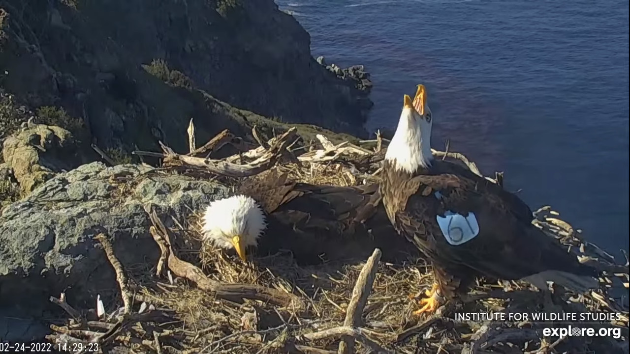 4D5F6F1E-C020-45FA-9B35-3E197EE571B0