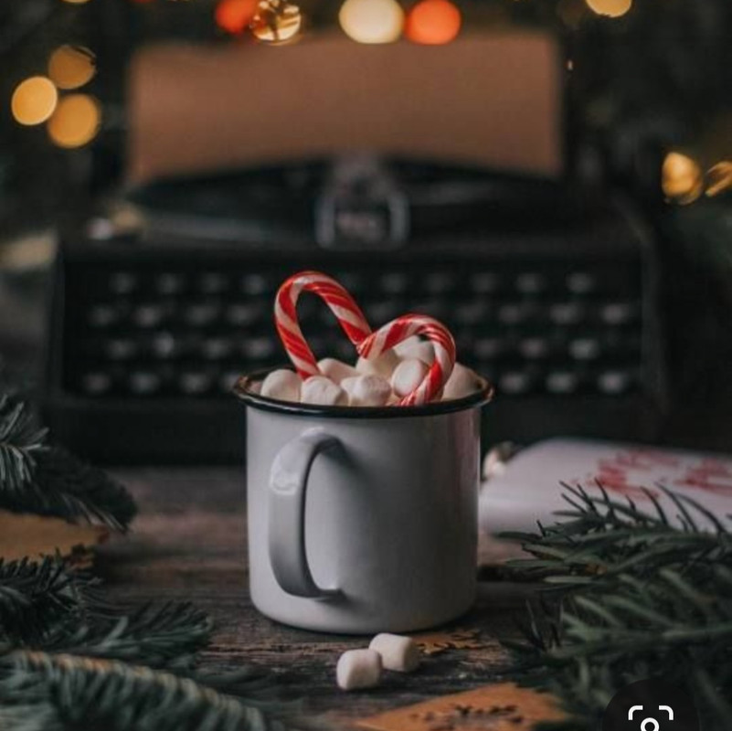 Screenshot_20231204_213050_Pinterest