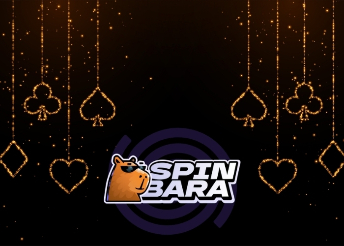 Spinbara casino online in DE